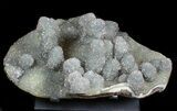 Prasiolite (Green Quartz) Stalactite Cluster - Uruguay #77868-2